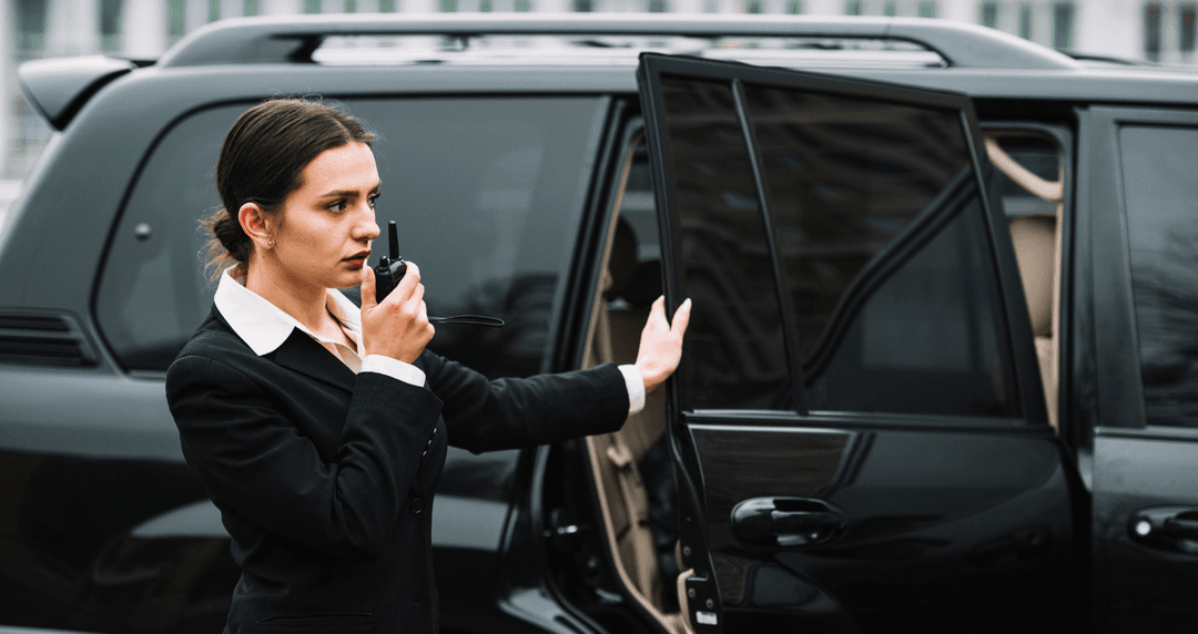 Airport Limo Service image