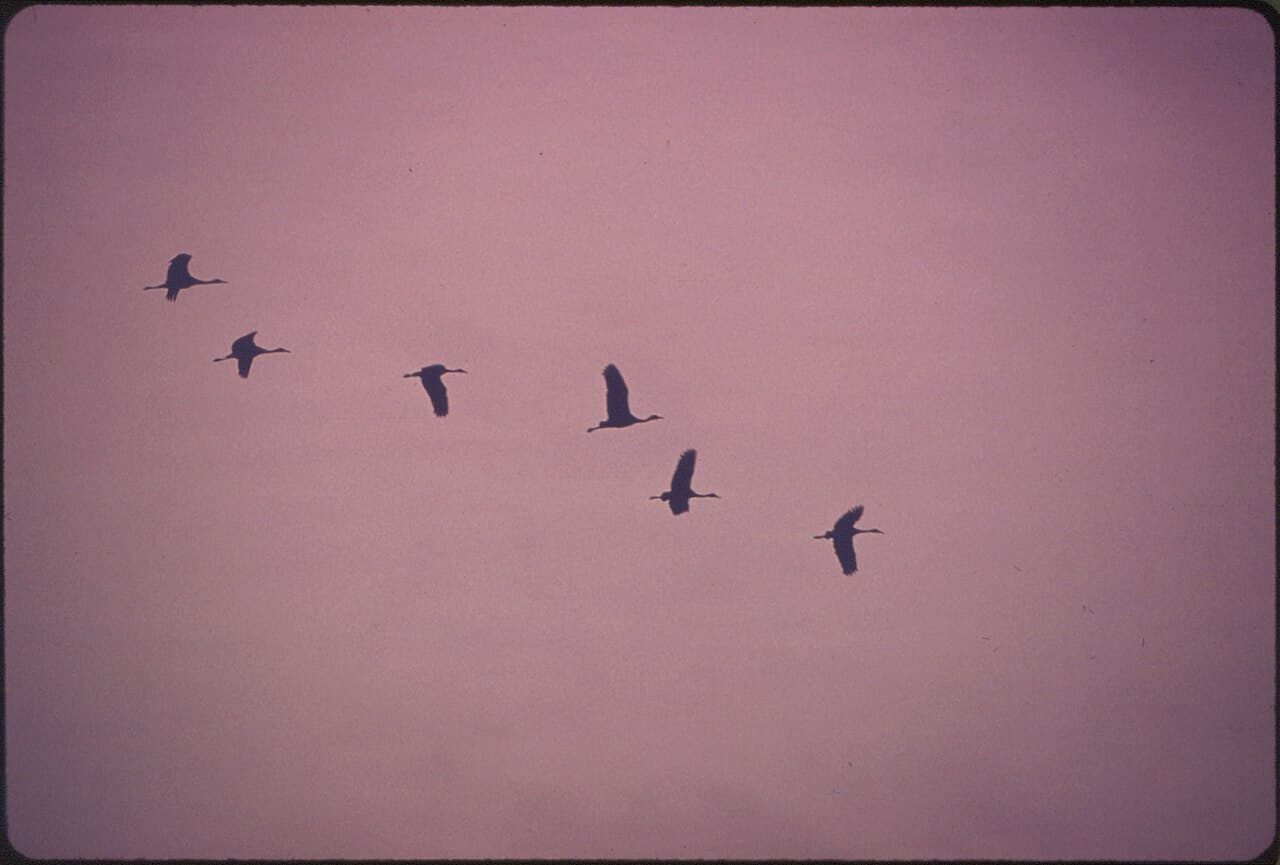Kearney Sandhill Crane Country, Nebraska — destination view